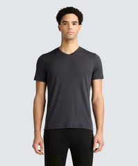 Men's Tall Merino V-Neck T-Shirt